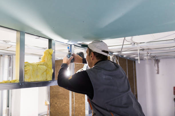 Best Insulation Installation Services in Rock Hall, MD